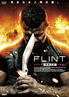 FLINT 
